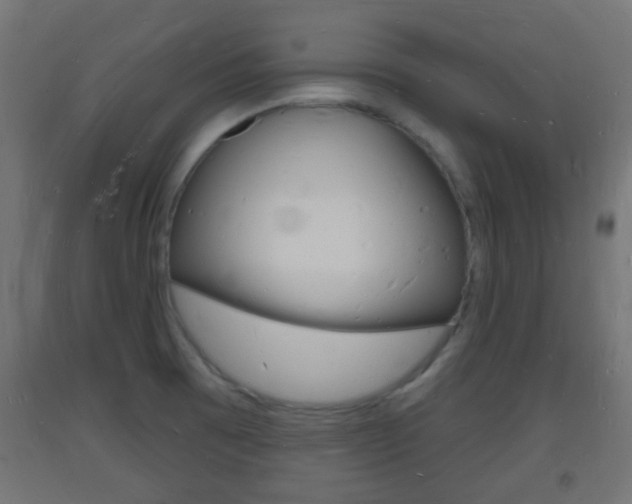 X0000093721473200710160739