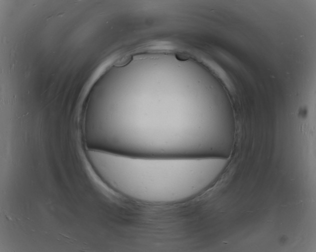 X0000093721475200710160739