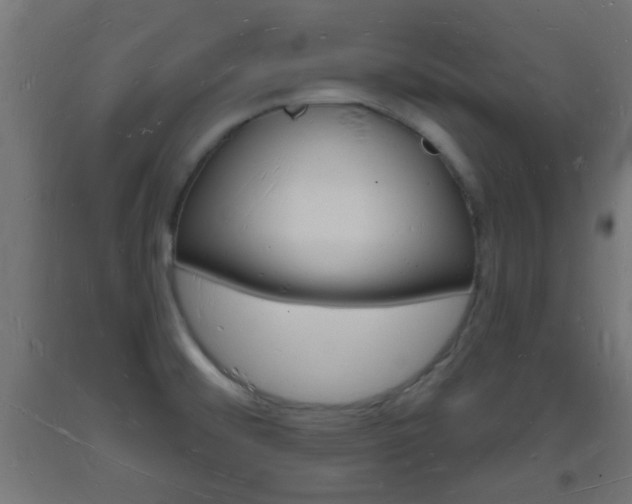 X0000093721476200710160739