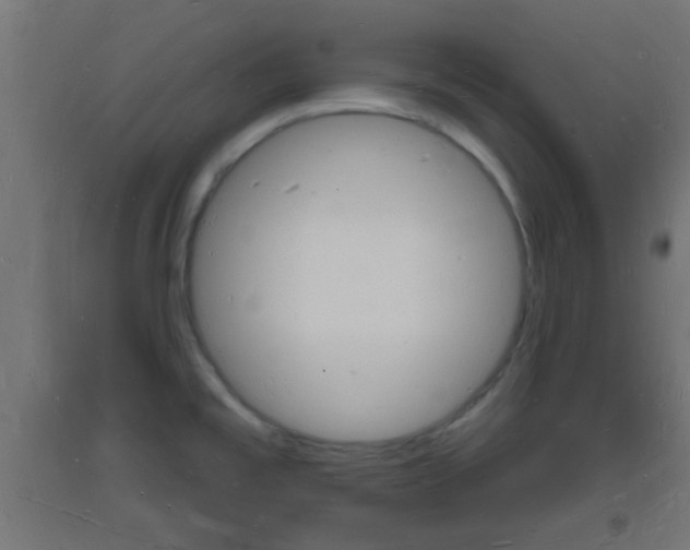 X0000093721477200710160739