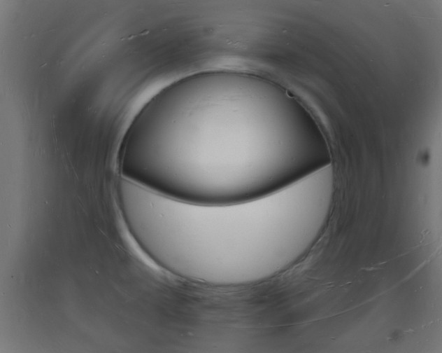 X0000093721479200710160739