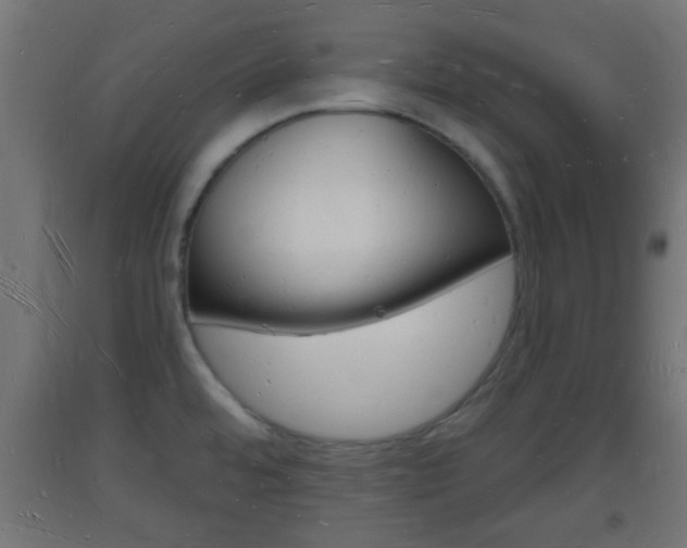 X0000093721480200710160739