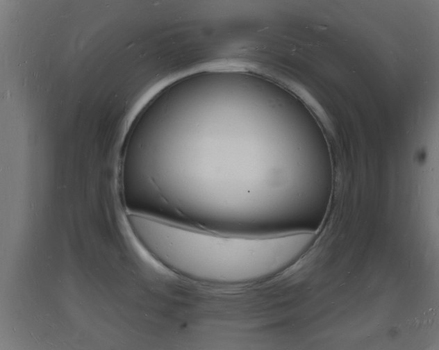 X0000093721484200710160739