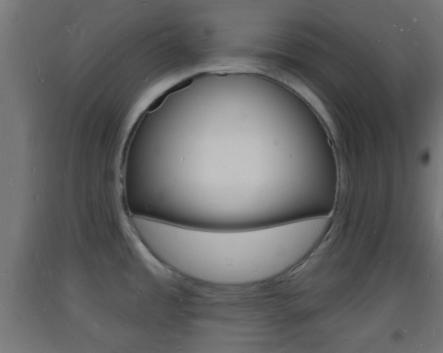 X0000093721485200710160739