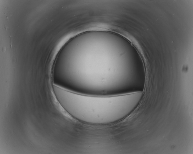 X0000093721488200710160739