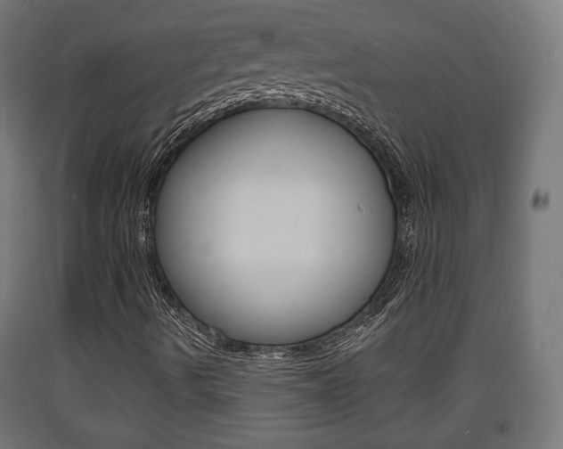 X0000093721490200710160738