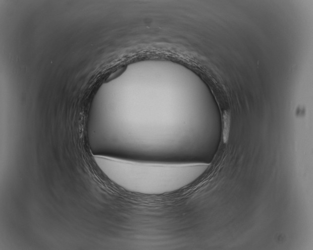 X0000093721491200710160738