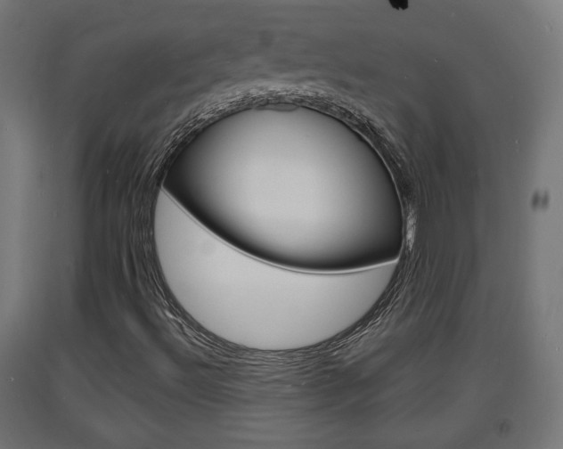 X0000093721492200710160738