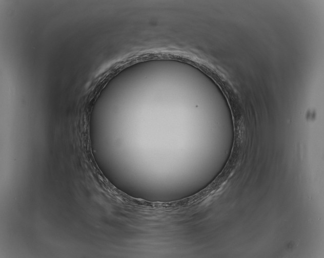 X0000093721494200710160738