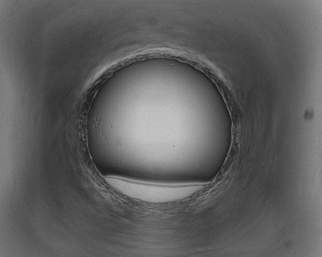 X0000093721496200710160738
