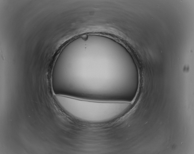 X0000093721497200710160738