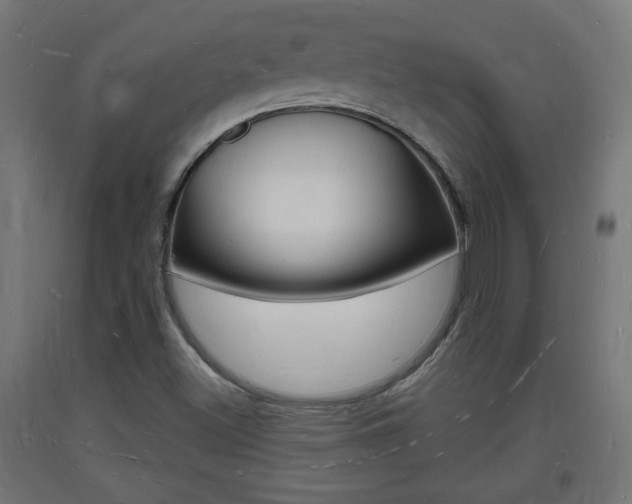 X0000093721500200710160738