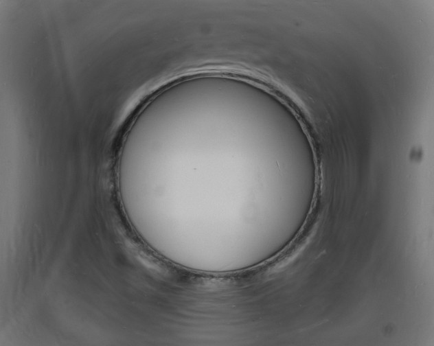X0000093721501200710160739