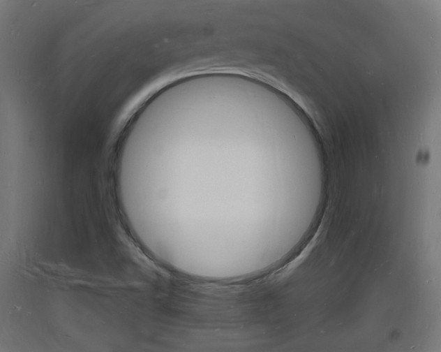 X0000093721502200710160739