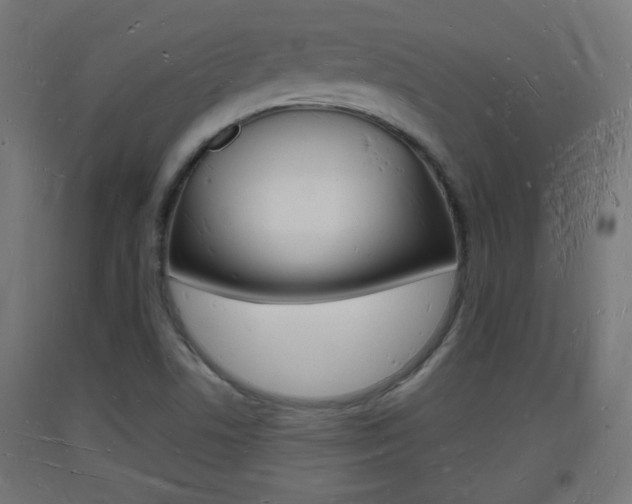 X0000093721506200710160739