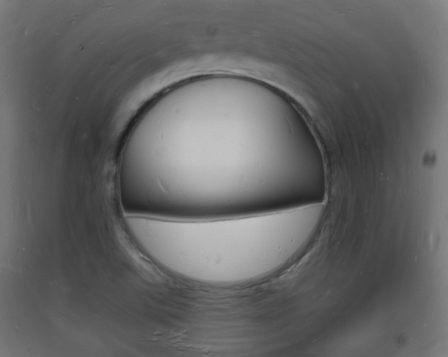 X0000093721507200710160739