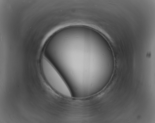 X0000093721510200710160739