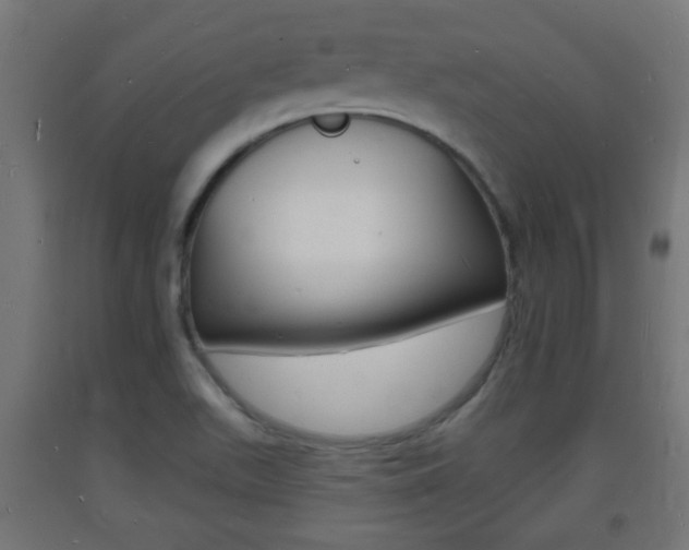 X0000093721511200710160739