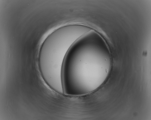 X0000093721512200710160739