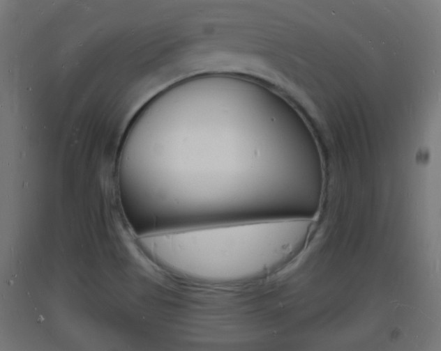 X0000093721513200710160739
