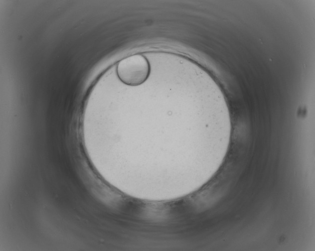 X0000093721514200710160739
