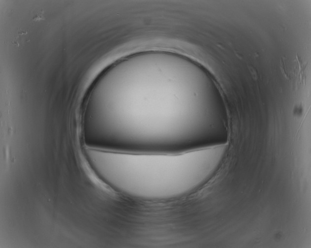 X0000093721515200710160739