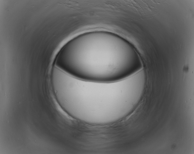 X0000093721516200710160739