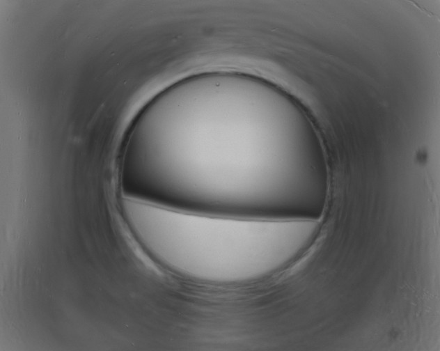 X0000093721517200710160739