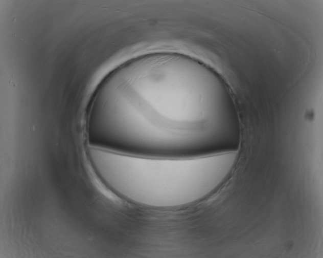 X0000093721519200710160739