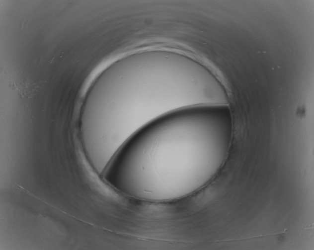 X0000093721522200710160739