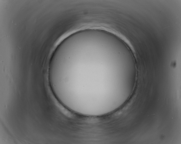 X0000093721525200710160739