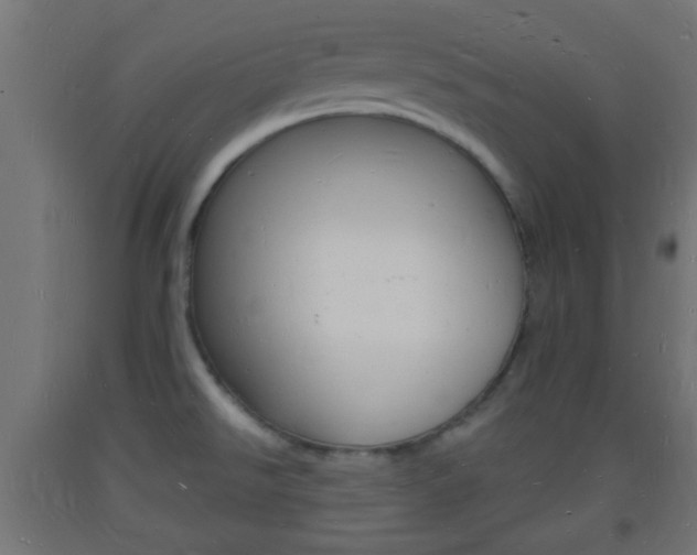 X0000093721526200710160739