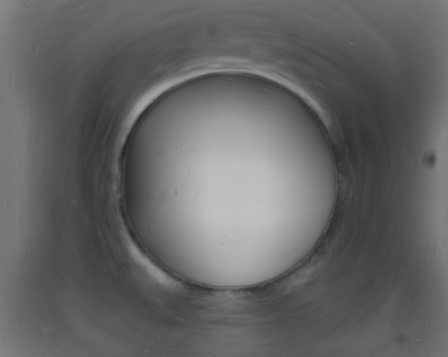 X0000093721527200710160739