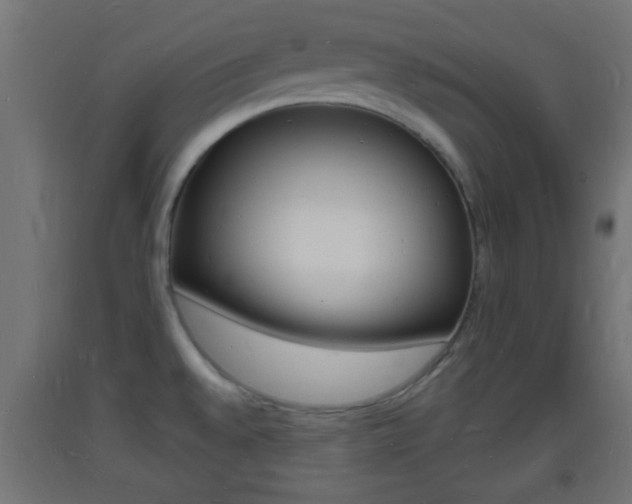 X0000093721528200710160739