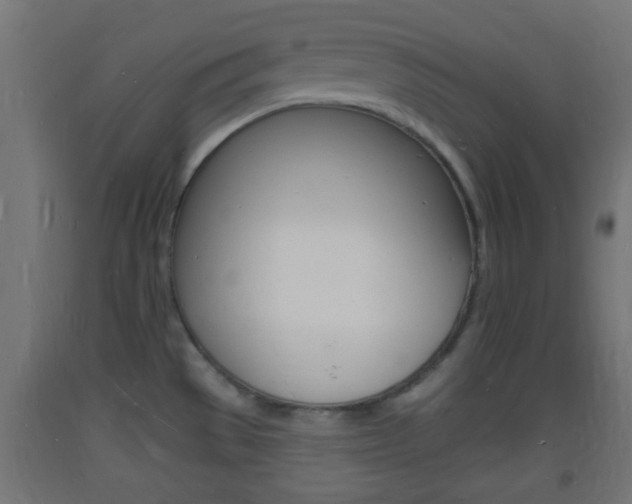 X0000093721529200710160739