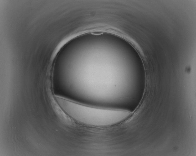 X0000093721530200710160739