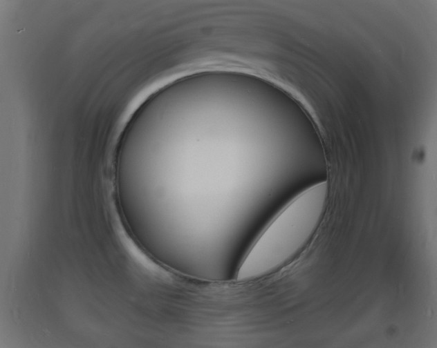 X0000093721531200710160739