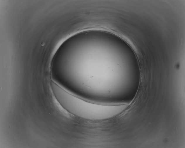 X0000093721532200710160739