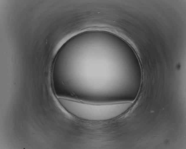 X0000093721533200710160739