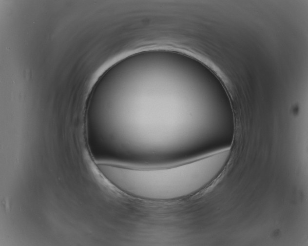 X0000093721534200710160739