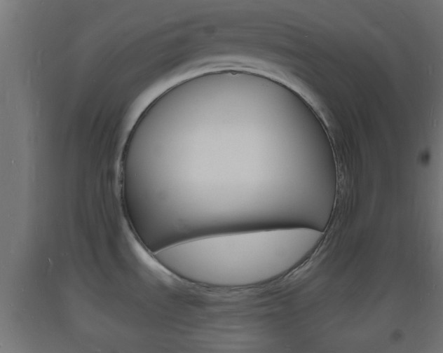 X0000093721535200710160739