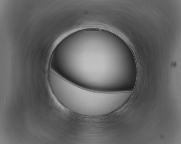 X0000093721536200710160739