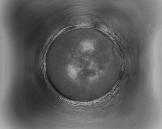 X0000093720002200710161107
