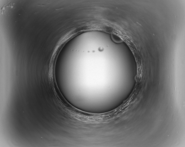 X0000093720004200710161107