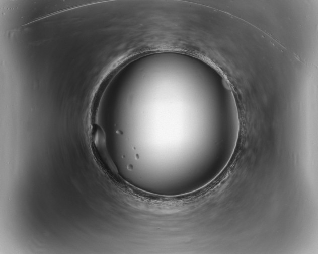 X0000093720008200710161107