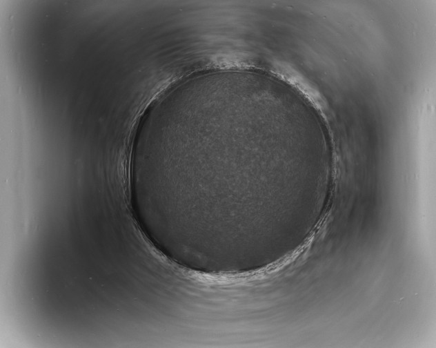 X0000093720009200710161107