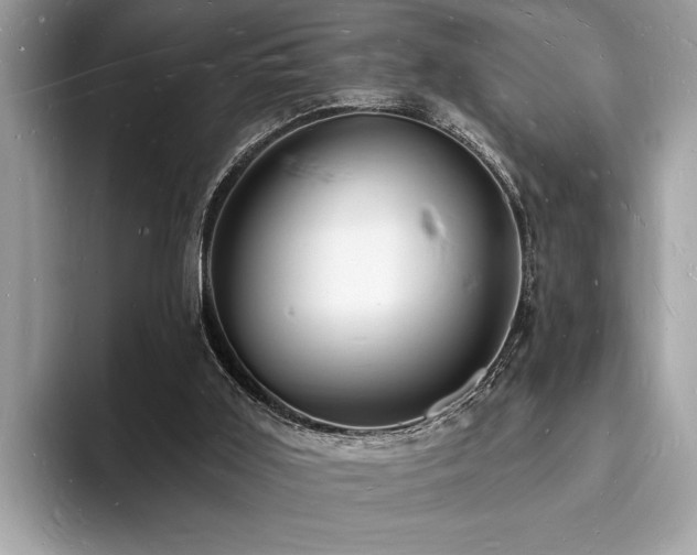 X0000093720011200710161107