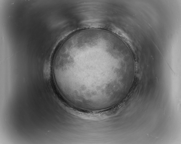 X0000093720012200710161107