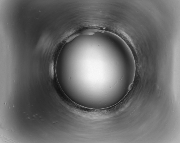 X0000093720020200710161106