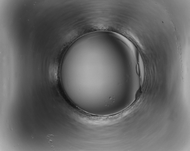X0000093720023200710161106